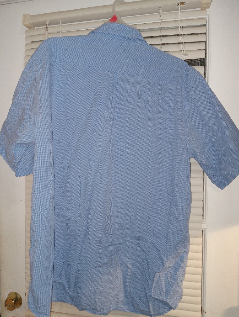 Daniel Cremieux Light Blue Shirt